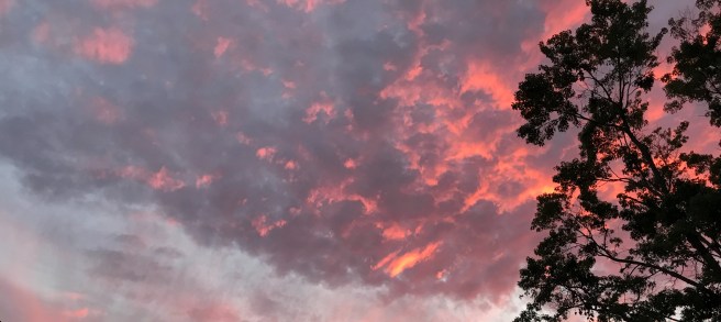 He Has Compassion On You ~ Encouragement From Isaiah 54